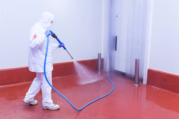 Best Dumpster Area Cleaning  in Luling, TX